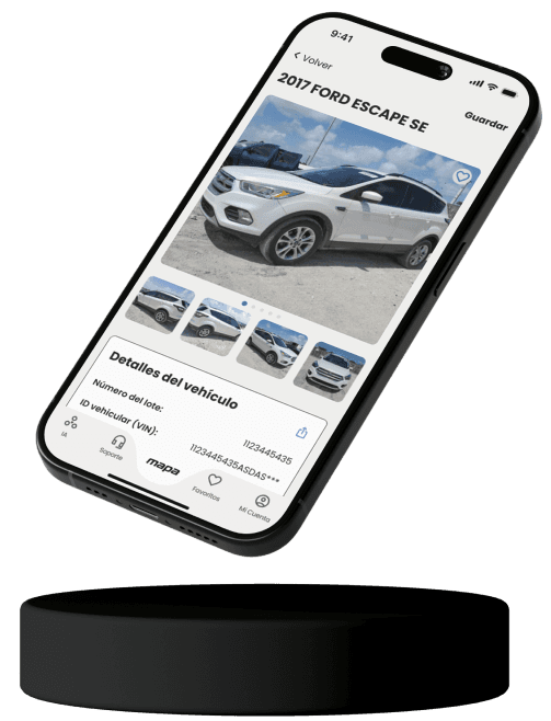 Detalle de vehículo en Mapa App
